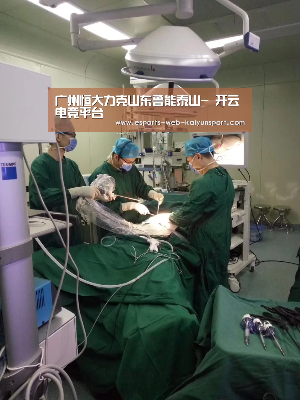  开云电竞官网