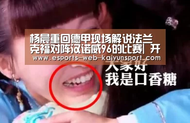 杨晨重回德甲现场解说法兰克福对阵汉诺威96的比赛| 开云电竞官网(图2) 开云电竞