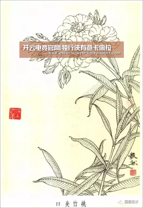  开云电竞官网|独行侠有意卡佩拉